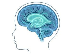 Children's Brain Recovery After Hydrocephalus: What a Key Study Means for Your Family